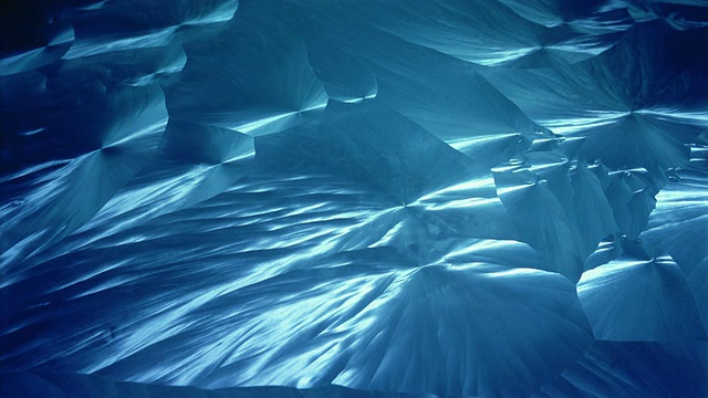 在树枝前形成蓝色冰晶的霜视频素材