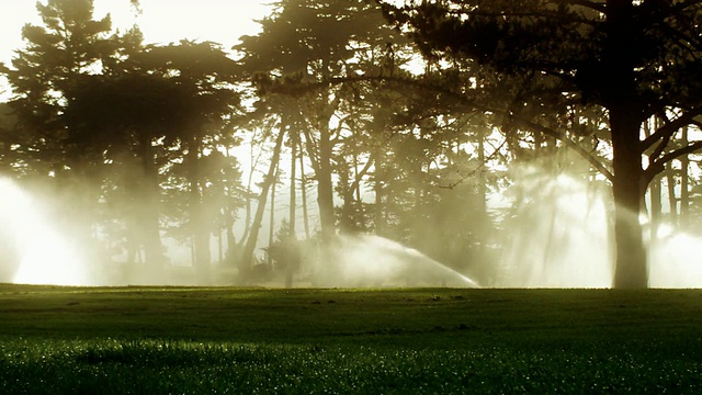 日出时的高尔夫球场洒水器视频下载