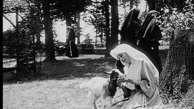1916年B/W宽镜头年轻的修女在花园里拥抱和喂山羊，而其他修女两人一组走过视频素材