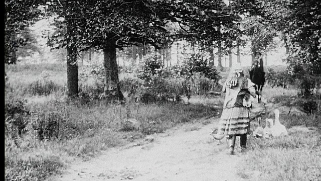 1916年B/W宽射农妇在树林里的小路上赶鹅，给骑马的人指示方向视频素材