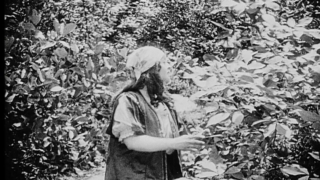 1916年，黑白灵媒射杀了一名正在森林小径上四处张望的农妇视频素材