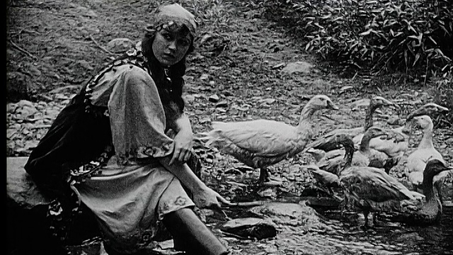 1916年B/W中枪农妇坐在池塘边，手里拿着一根棍子，旁边是鹅视频素材