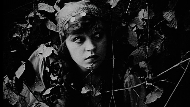 1916年B/W近距离女人爬过树枝视频素材