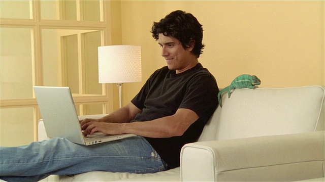 微软，男人用笔记本电脑，黑豹变色龙坐在沙发边缘视频下载