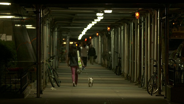一个女人在晚上的人行道上遛狗。视频素材