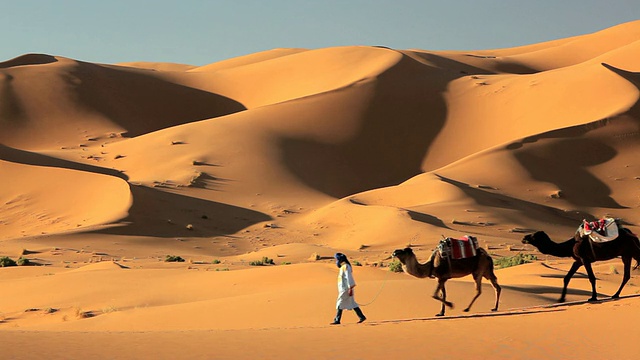 男Touareg长袍领导camelsÂ Erg Chebbi，撒哈拉沙漠，非洲摩洛哥视频下载