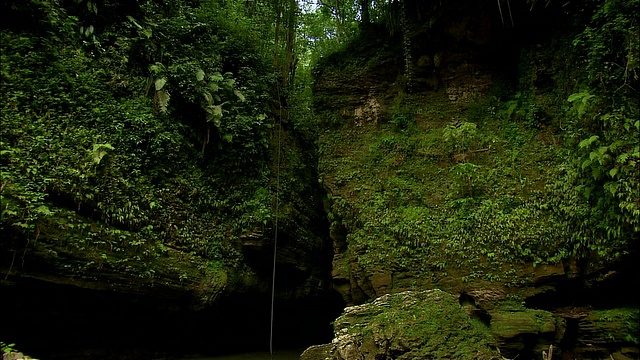 波多黎各圣胡安热带雨林中的塔纳马河视频下载