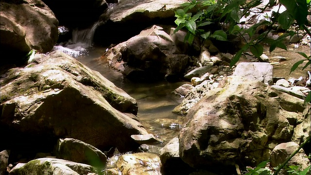 位于波多黎各法哈多热带雨林的小溪视频下载