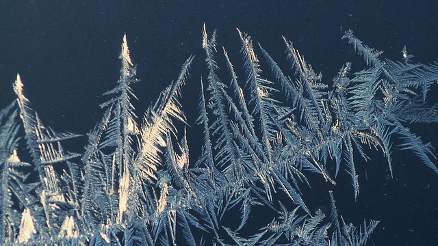CU窗玻璃霜冻图案/粗花呢，安大略省，加拿大视频素材