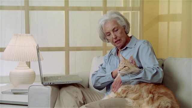 一位女士坐在沙发上，拿着笔记本电脑，抚摸着缅因猫视频下载