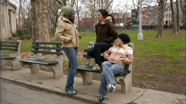 美国纽约布鲁克林的公园/威廉斯堡，年轻的女人在街上互相握手视频素材