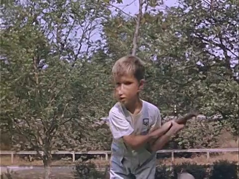 1939年，在美国加州洛杉矶格里菲斯公园垒球比赛中，一名年轻男孩挥动球拍视频下载