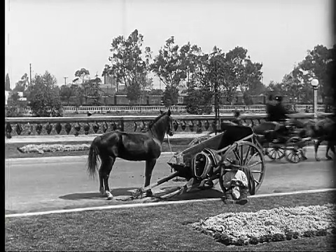 1924 B&W电影蒙太奇MS男人骑在非常快的马车/ WS快速马车通过停止了马和马车在路边视频素材