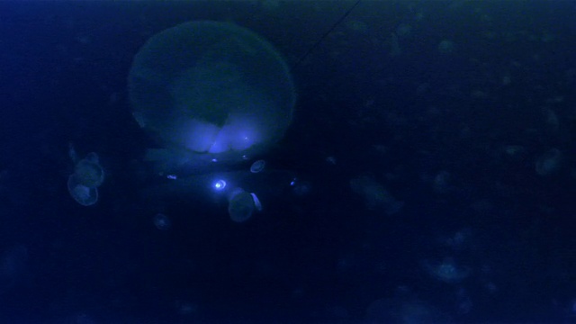 MS，美国太平洋水下航行器视频素材