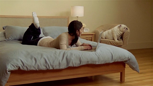 MS，女人躺在床上用笔记本电脑工作，英国斗牛犬坐在扶手椅上视频下载