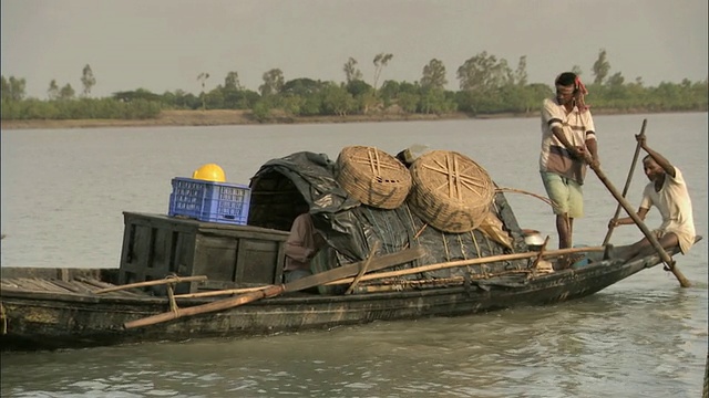 MS TS ZI Men在孟加拉国桑德班斯河上驾驶和划着小船视频素材