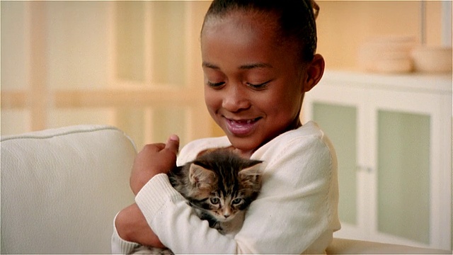 CU，女孩(6-7)拥抱缅因猫视频素材