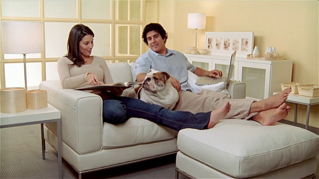 MS，牛头犬在客厅放松，女人在看书，男人在用笔记本电脑视频素材