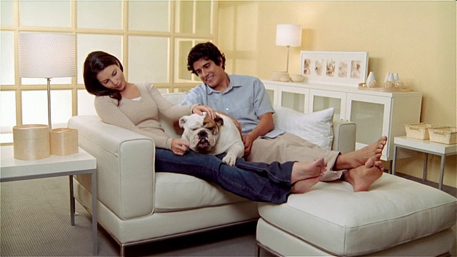 MS, ZI, ZO，夫妇和斗牛犬在客厅休息视频素材