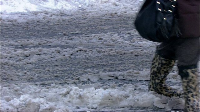 美国纽约，一名女子提着购物袋和豹纹靴走在泥泞的街道上，另一名女子带着狗走在泥泞的人行道上视频素材