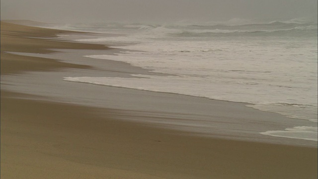 美国马萨诸塞州东萨姆市，海水拍打着潮湿的沙滩视频素材