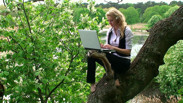 树上有笔记本电脑的女人视频下载