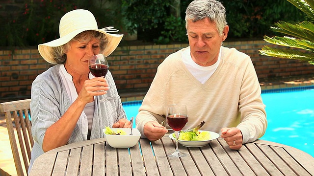 南非西开普省的花园/开普敦，一对成年夫妇在喝红酒视频素材