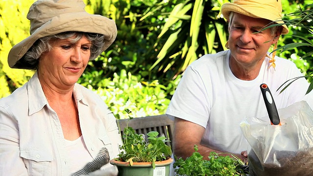 一个成熟的女人和丈夫在南非西开普省开普敦的花园盆栽视频素材