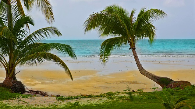 热带海滩和绿松石水视频素材