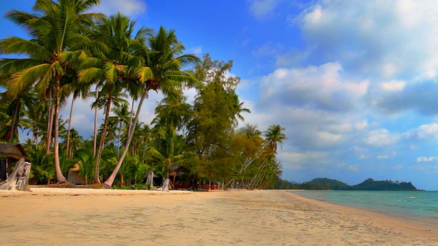 全景热带海滩与棕榈树和海水视频素材