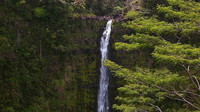 热带夏威夷瀑布视频素材