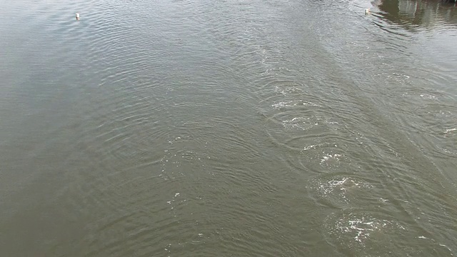 高清划艇比赛从头顶视频素材