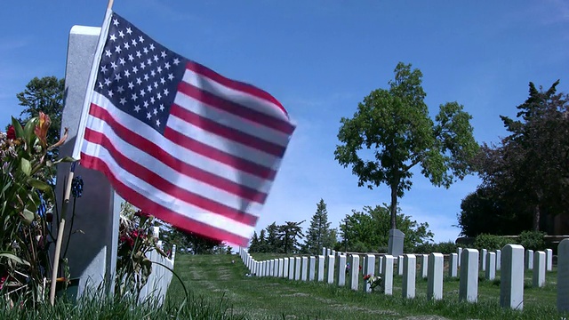 (HD1080i)军事公墓视频素材