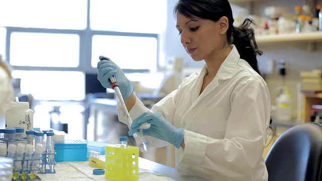 MS TU女性实验室技术员，在癌症研究、医疗保健、医药工业DNA测序实验室/加拿大BC省温哥华视频下载
