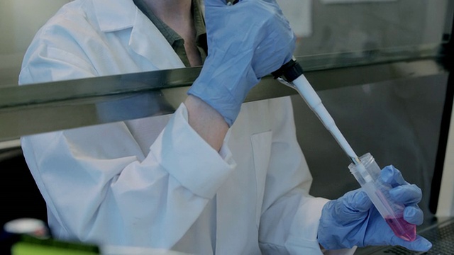 加拿大BC省温哥华癌症研究保健医学工业DNA测序实验室的女性实验室技术员，在通风柜中使用微型吸管视频素材