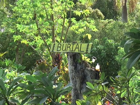 在丛林中埋葬的标志视频下载