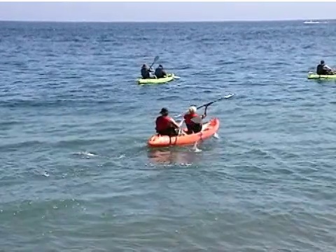 海上皮划艇出发视频素材