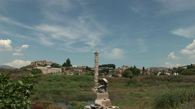 土耳其塞尔丘克塞尔苏斯图书馆，Ãgais省，Artemission神庙/以弗所周围柱上的鹳鸟巢视频素材