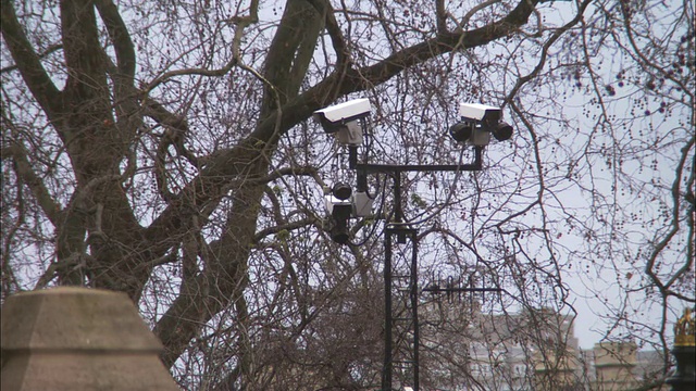 英国伦敦，杆子上的安全监控摄像头，背景是光秃秃的树枝视频素材