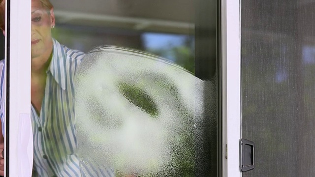PAN TU TD女士在玻璃门上喷洒泡沫玻璃清洁剂/美国加州梦幻农场视频下载