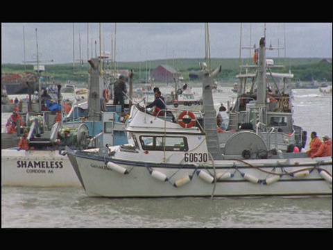 美国阿拉斯加州埃盖吉克，布里斯托尔湾沿岸浅水上漂浮的渔船视频素材