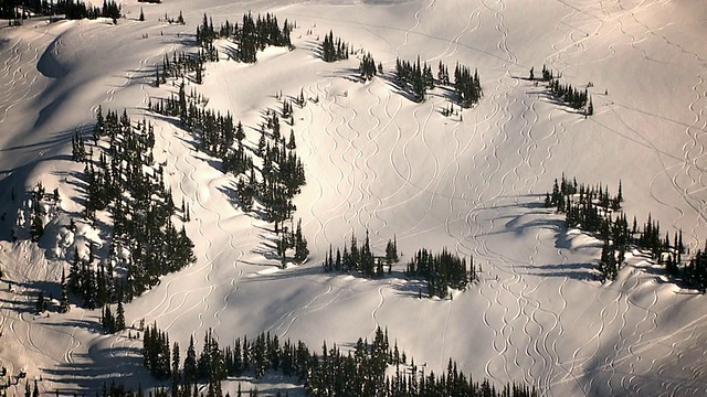 ZO野外滑雪粉/惠斯勒黑梳，加拿大不列颠哥伦比亚省视频素材