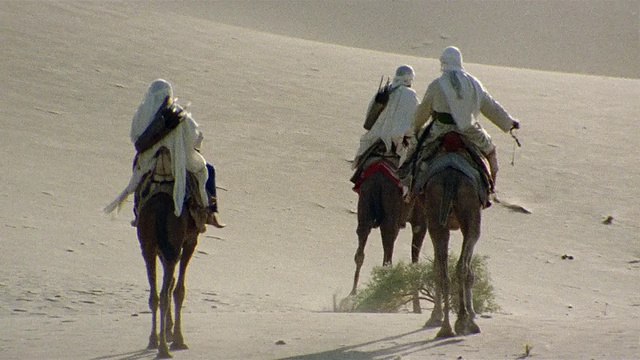 MS, PAN，再创造，非洲，图阿雷格部落人在沙漠骑骆驼，后视图视频素材
