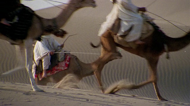 MS, PAN, ZI, CU, Re-creation，非洲，图阿雷格部落在沙漠骑骆驼视频素材