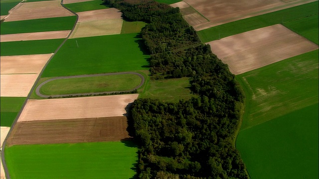 空中WS绿色和米黄色田野/香槟地区，法国视频下载