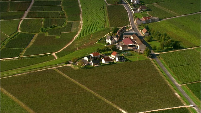 空中WS房屋周围的葡萄园在绿色山谷/香槟地区，法国视频下载