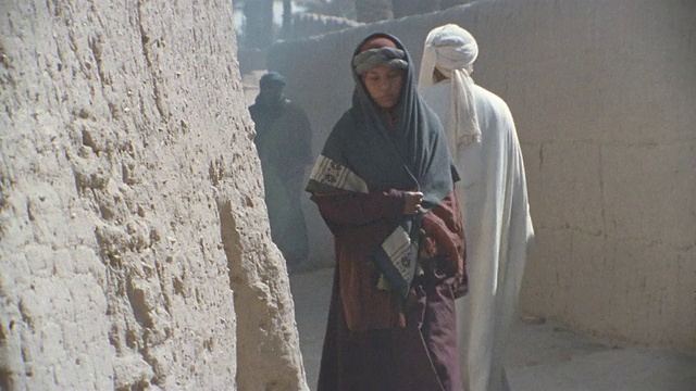 中东男人和女人走在街上驴和骆驼/伊朗视频下载