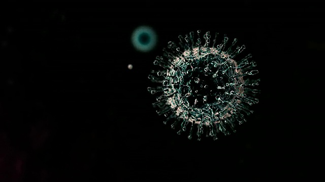 WS H N型流感病毒颗粒移动/英国牛津视频购买