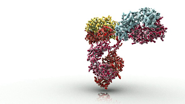 抗体蛋白免疫系统视图/ Oxford, Oxon，英国视频下载