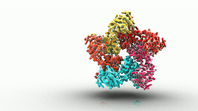 CU HIV病毒衣壳链的有机分子结构/ Oxford, Oxon，英国视频素材